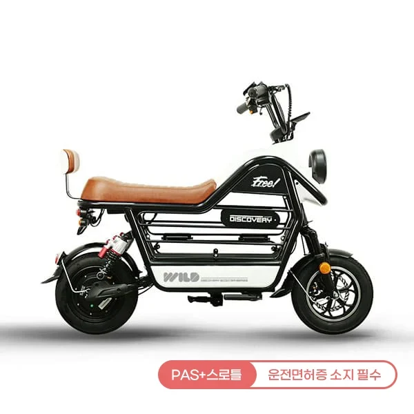 디스커버리 와일드 S20 16A 전기 전동스쿠터